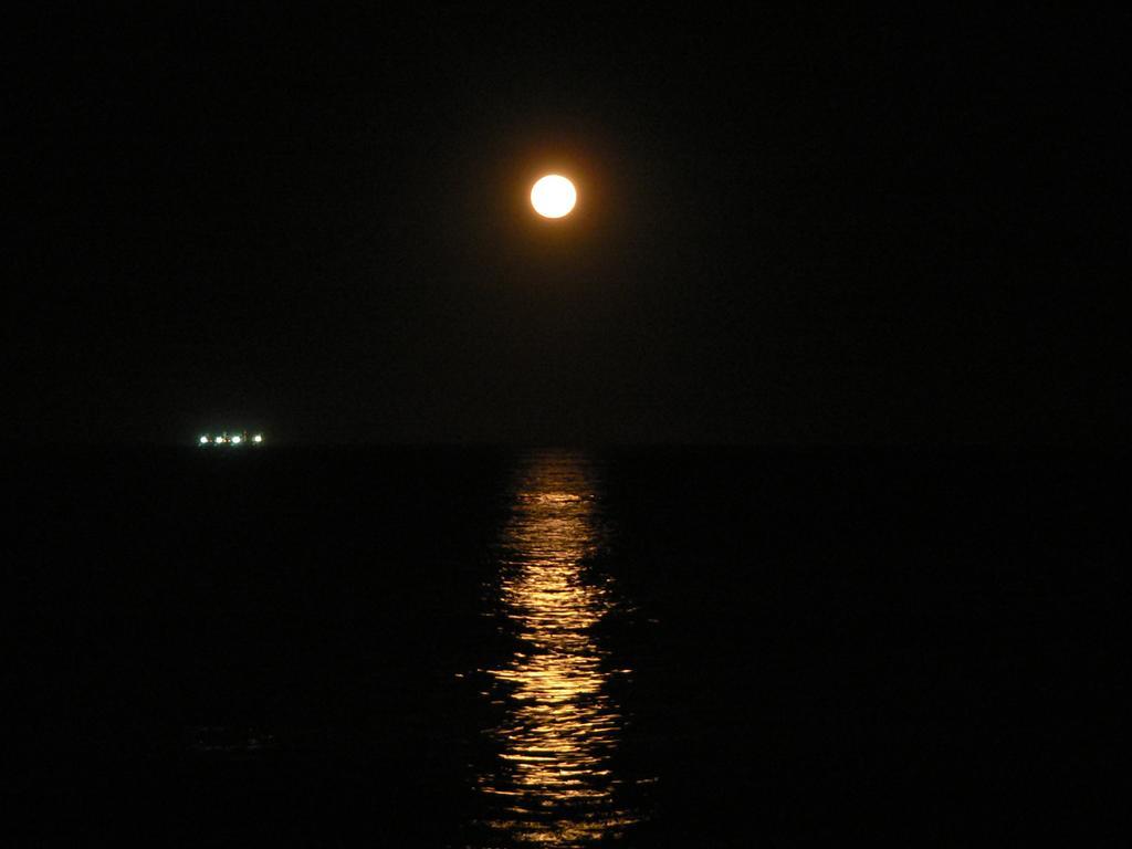 ESPECTACULAR Alem 5007 piso 7 Mar del Plata Quarto foto